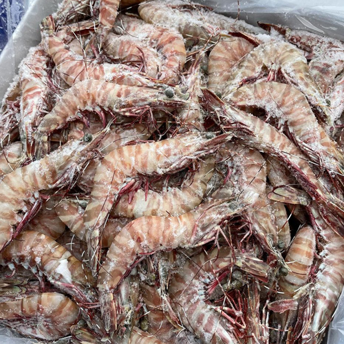 보리새우의 효능과 요리법, 부작용 알아보기