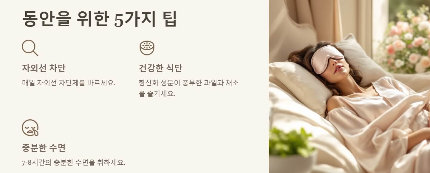 얼굴살 찌우는 방법 동안 비법