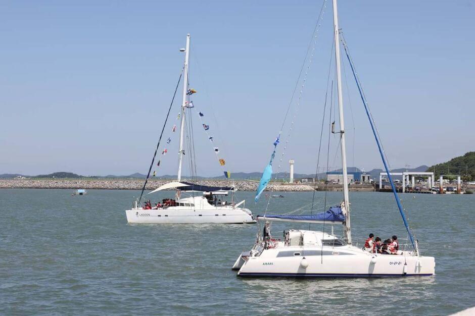 2025 화성 뱃놀이 축제 바다 위에서 펼쳐지는 환상적인 3일!!