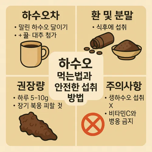 하수오 먹는법과 안전한 섭취 방법 썸네일