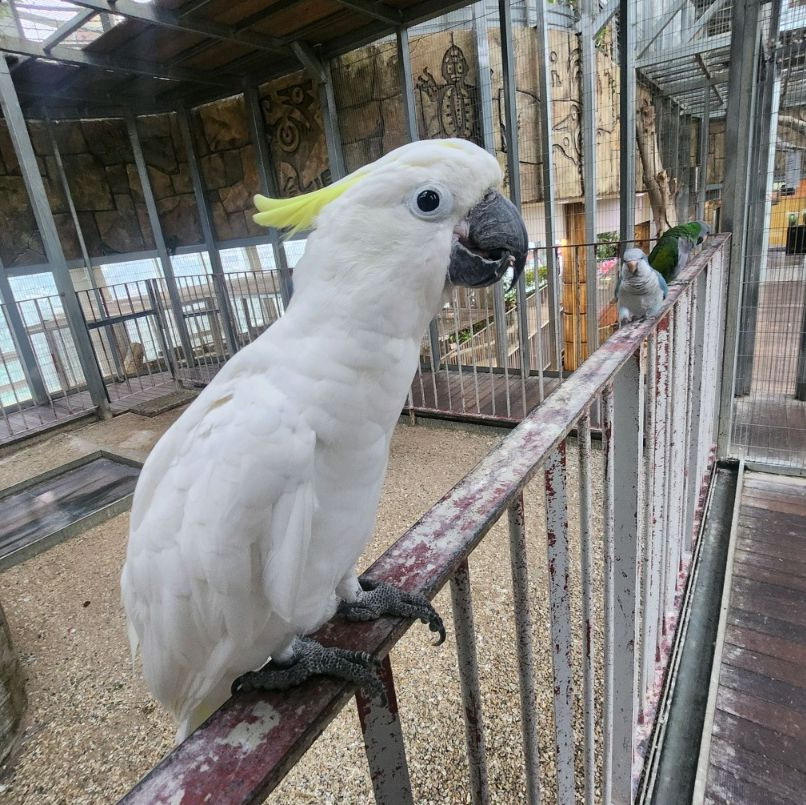 오산버드파크
