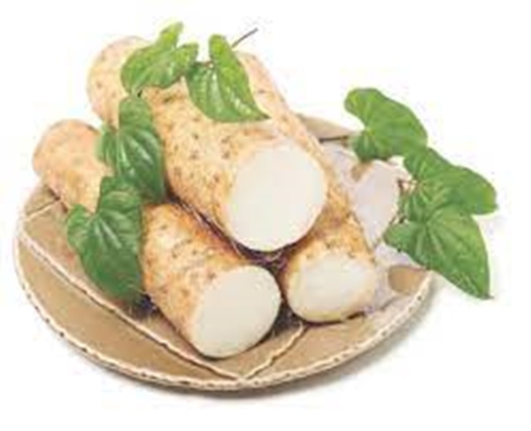 장염에 좋은 음식