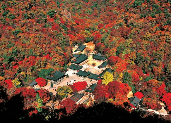 단풍구경-가볼만한-곳-내장산