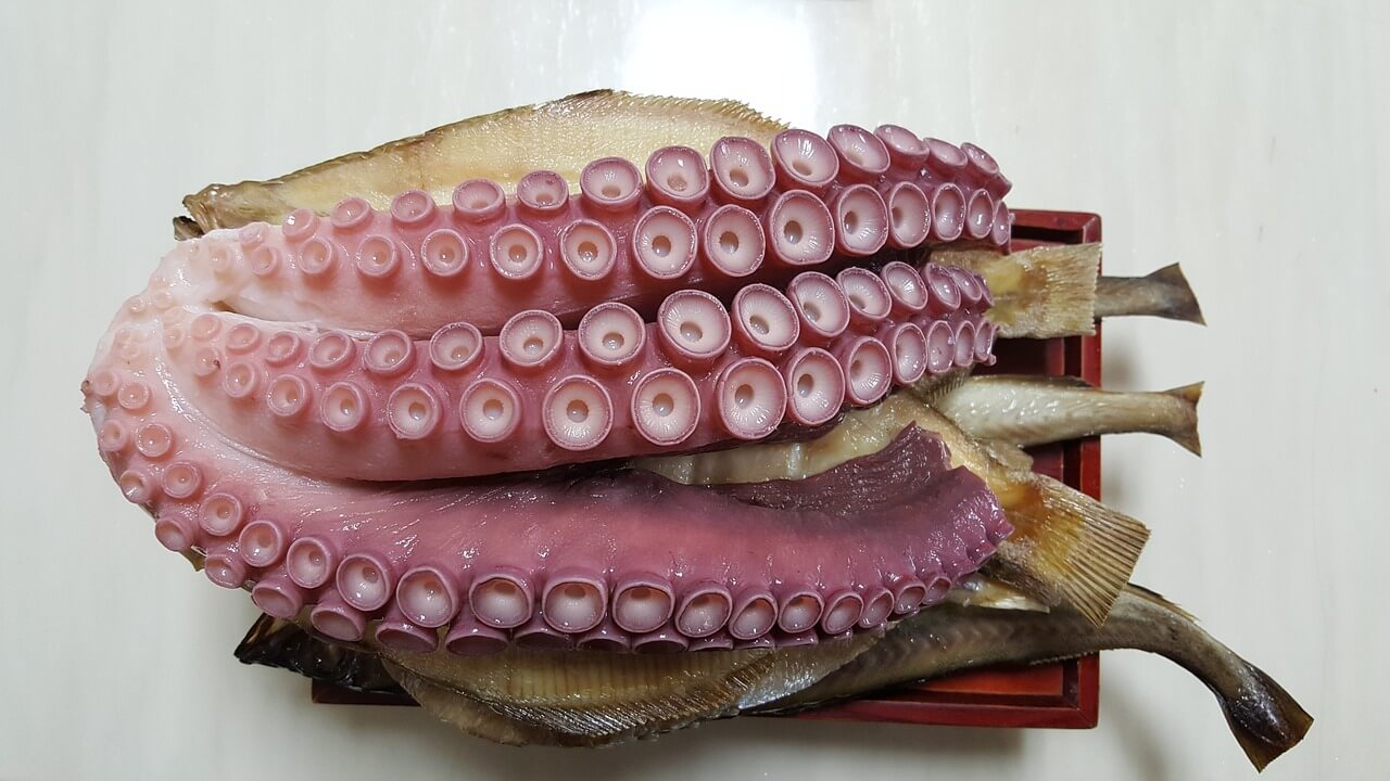 7월제철해산물