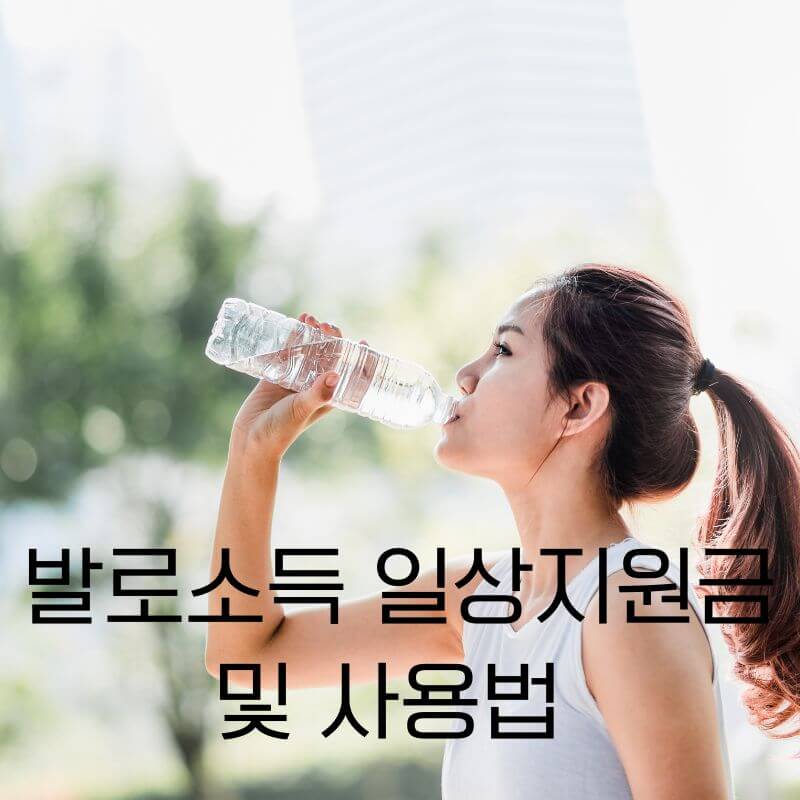 발로소득 일상지원금 및 사용법