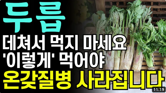 보약으로 먹는 두릅