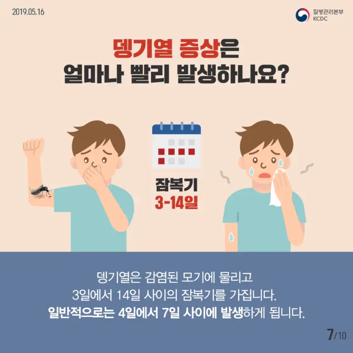 뎅기열예방수칙