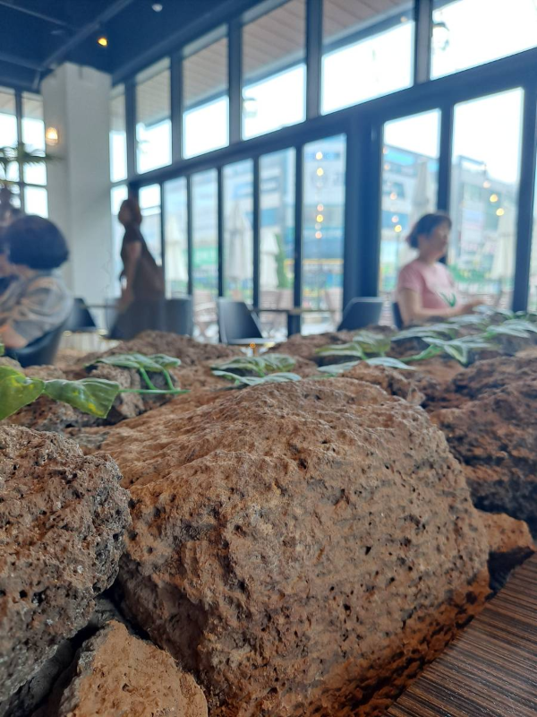 랑데자뷰 제주돌담