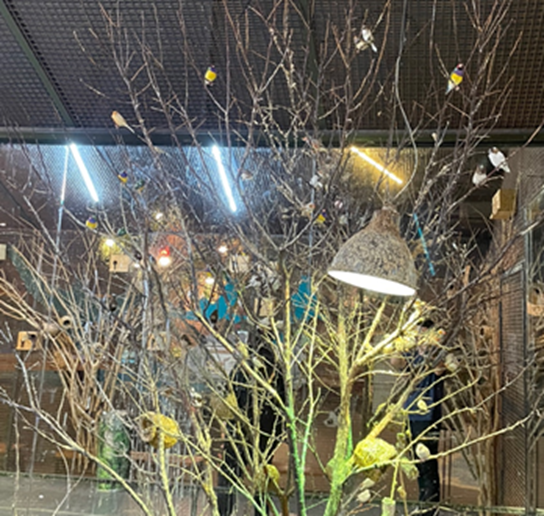주렁주렁 새들의 정원