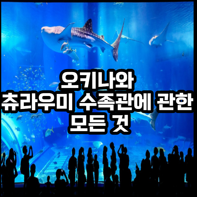 오키나와 츄라우미 수족관
