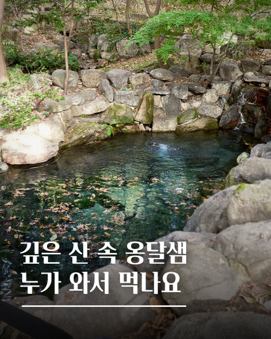 청와대 야간개장 예약