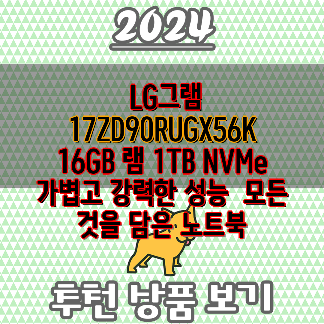 LG그램 17ZD90RUGX56K 16GB 램 1