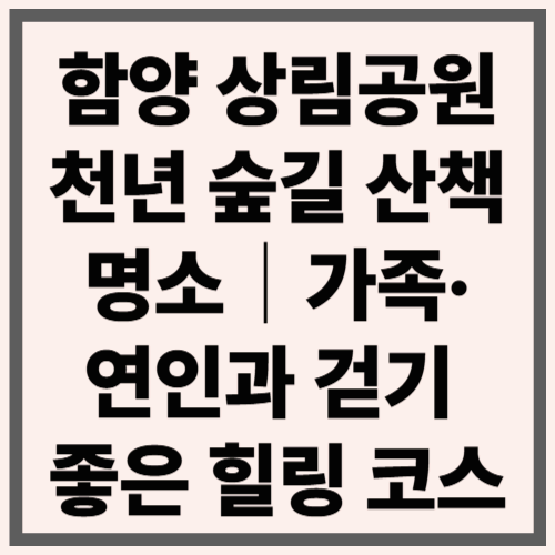 함양 상림공원, 천년 숲길 산책 명소|가족·연인과 걷기 좋은 힐링 코스