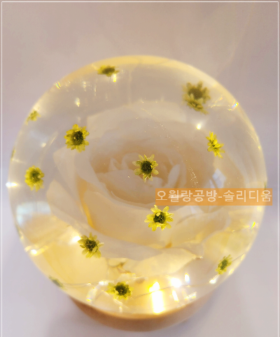 장미의노래
솔리디움
오월랑공방