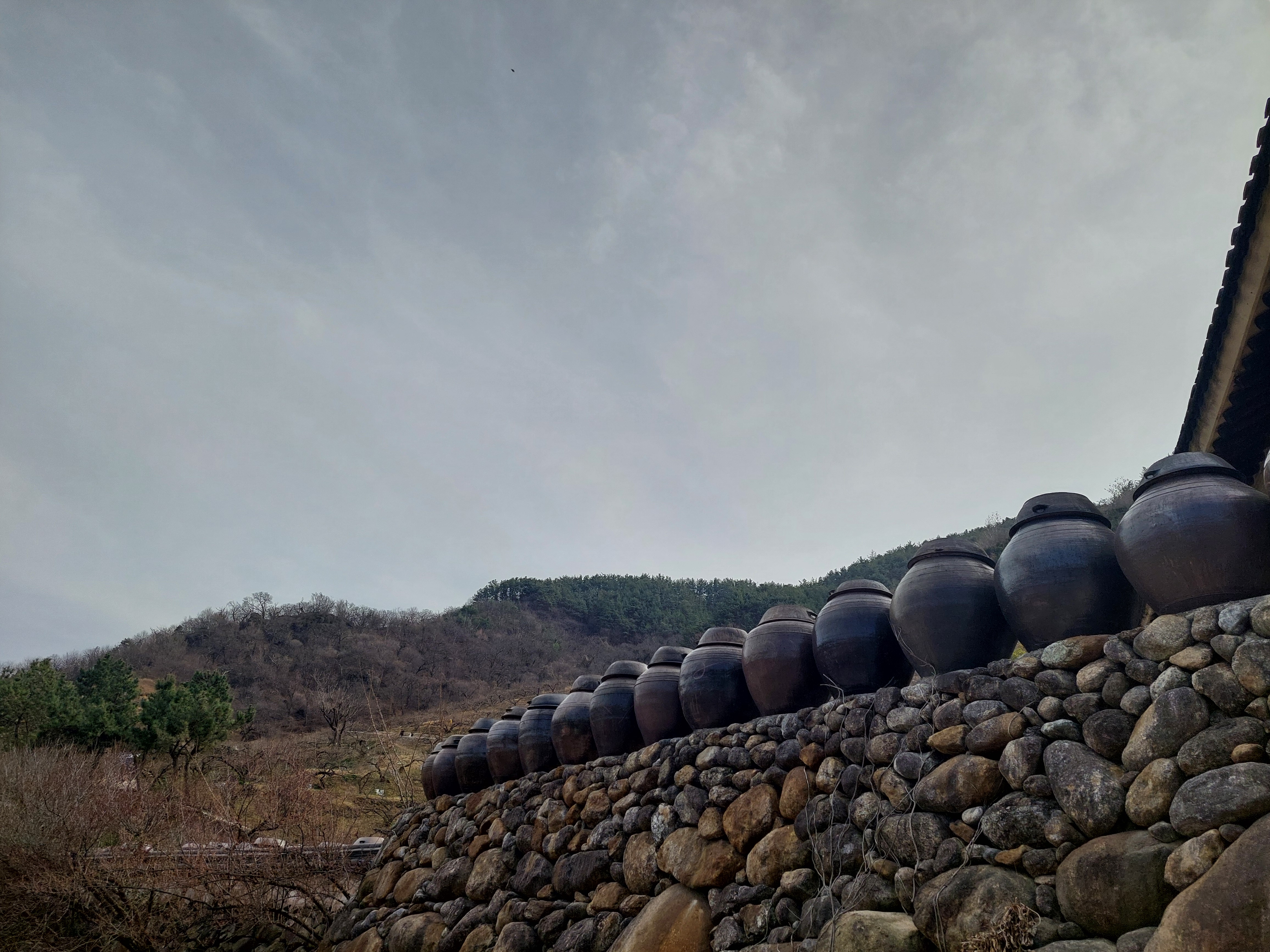 쫓비산