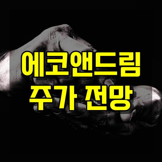 에코앤드림 주가 전망