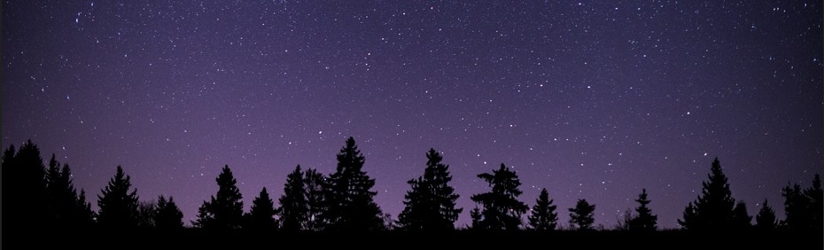 별이 가득한 캄캄한 밤하늘과 어둠에 싸여 있는 숲이 보이는 사진