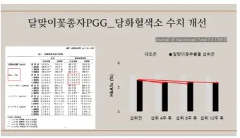 나이별 당화혈색소 수치 목표 기준_23