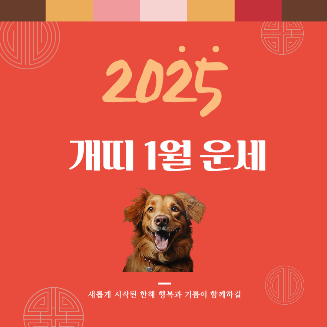 2025년 을사년 『개띠』 1월 운세