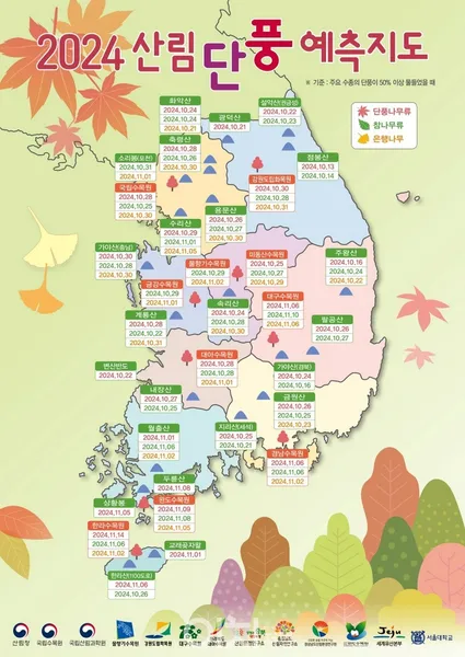 2024 단풍시기