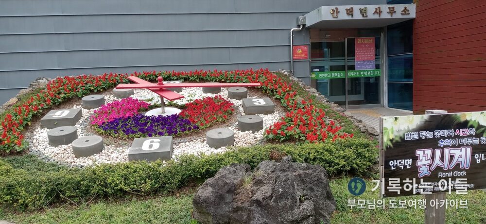 안덕면 꽃시계 조형물
