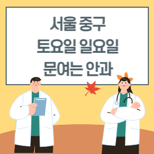 서울 중구 토요일 일요일 안과 진료 병원 리스트