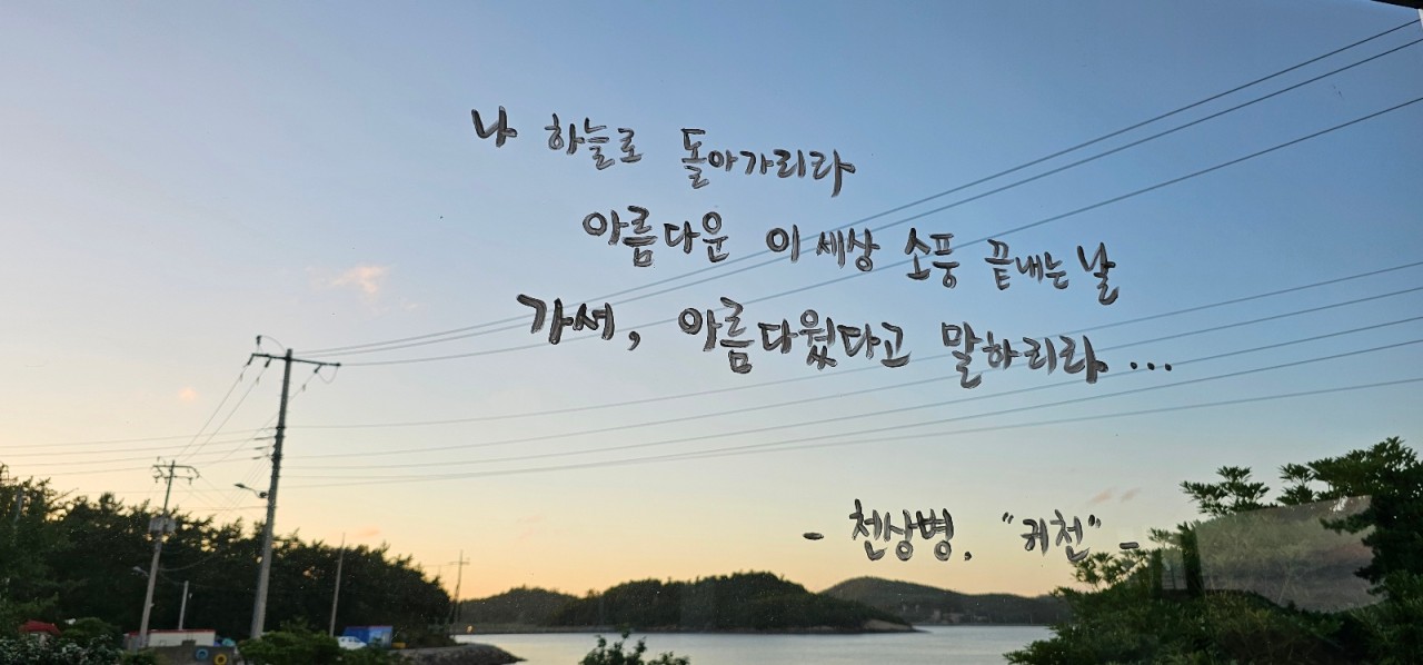 생생정보 미스터 Lee