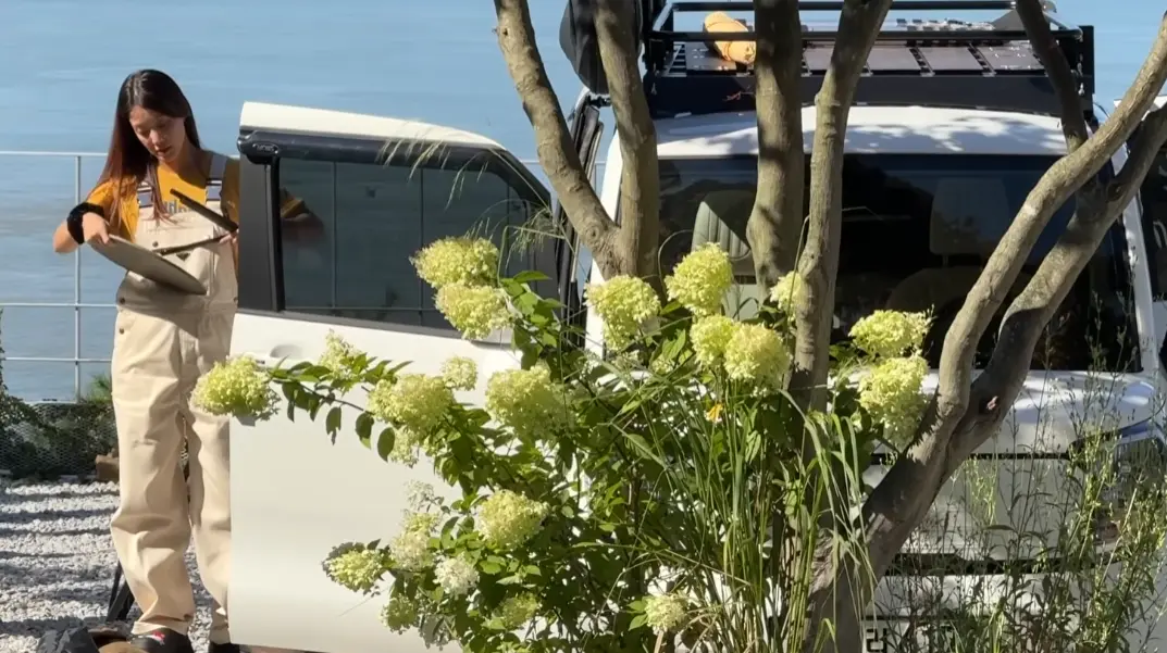 이시영, 레이