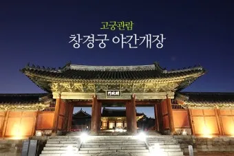 창경궁 야간개장 물빛연화 창경궁 야간개장 인터넷예매 예매 요령_5