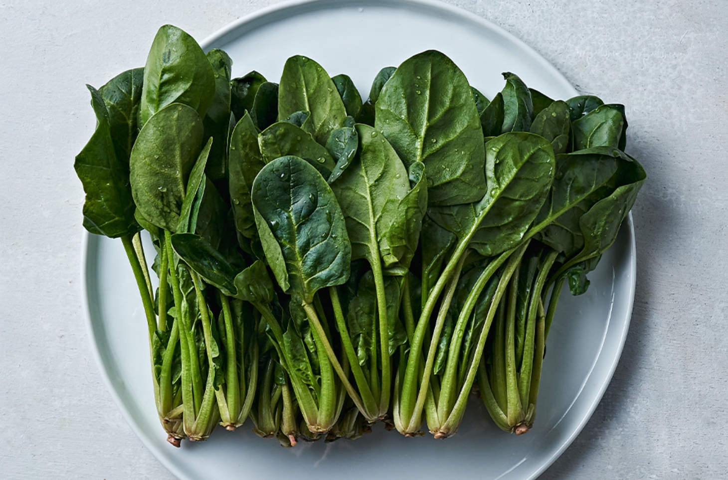 플라보노이드가 풍부한 시금치