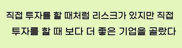  1) 직접 투자를 할 때처럼 리스크가 있지만, 직접 투자를 할 때 보다 더 좋은 기업을 골랐다.