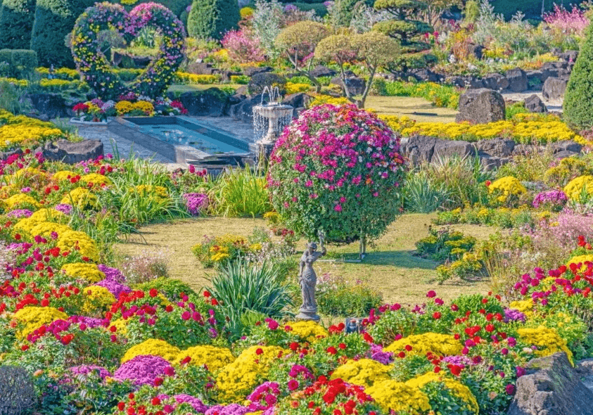 벽초지수목원 가을꽃 국화축제