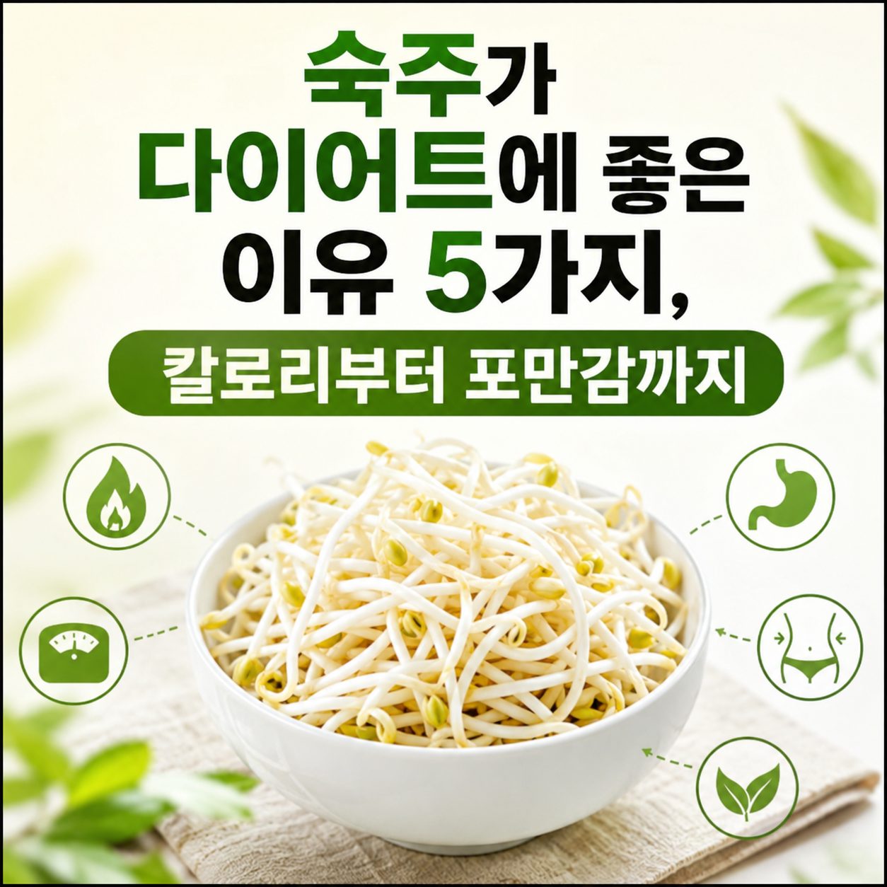 숙주가 다이어트에 좋은 이유
