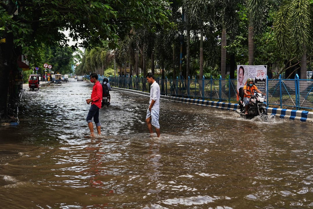 Flood