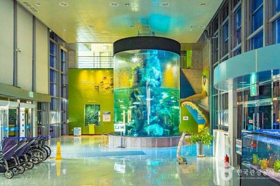 구례 가볼만한곳 베스트 10