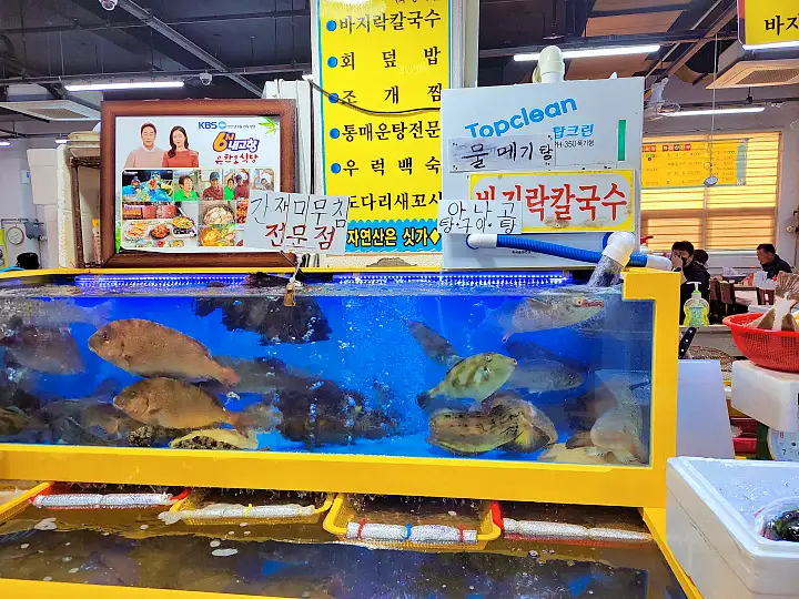 6시내고향 제부도 전곡항 간재미 회 탕 무침 맛집 추천