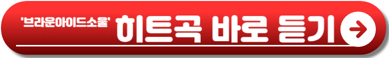 브라운아이드소울 콘서트