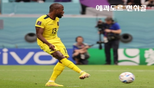 카타르 월드컵 에콰도르 경기장면입니다