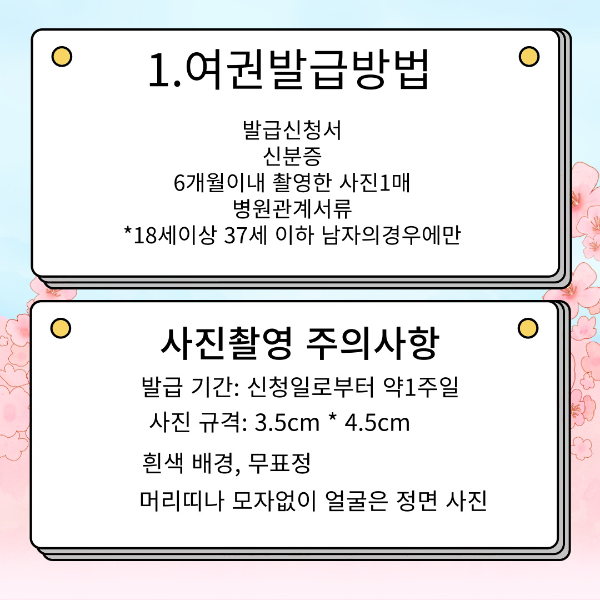 여권발급