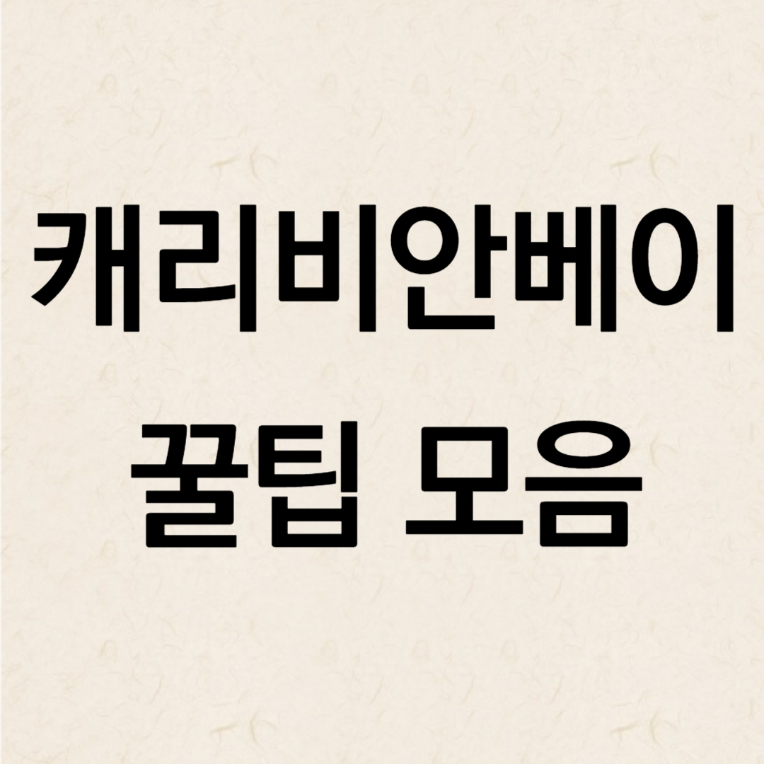 캐리비안베이 꿀팁 할인