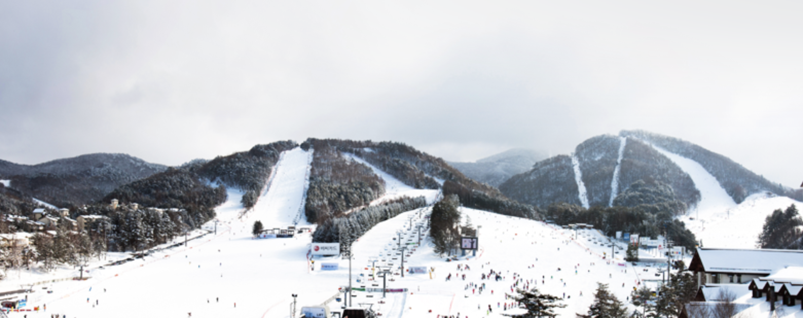 스키장, 모나 용평