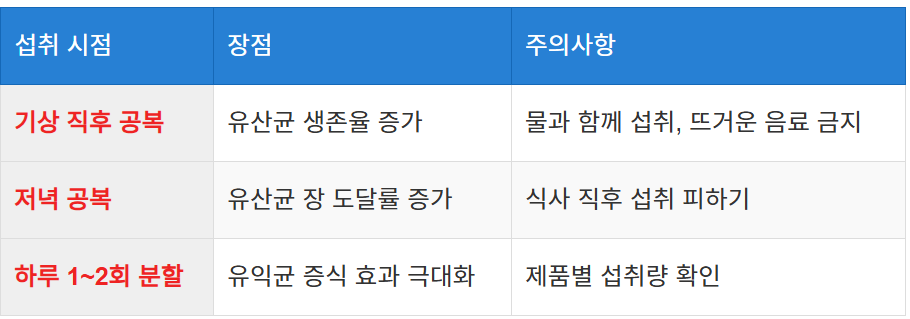 최적의 섭취 시간