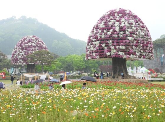 2025 함평 나비 축제 일정부터 주차&middot;입장료까지! 꿀팁 총정리