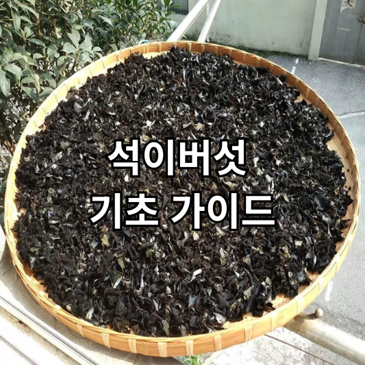 석이버섯
