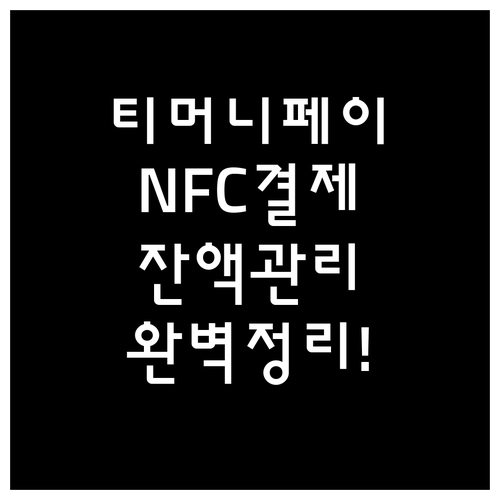 티머니페이 앱 설치 및 카드 등록 총..