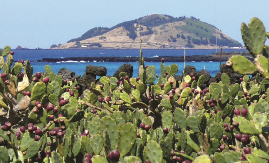 서귀포 가볼만한곳 베스트10