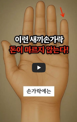 교통사고 꿈해몽 영상보기