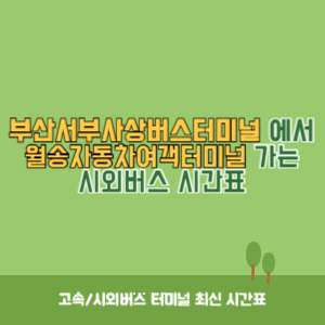 부산서부사상버스터미널에서 월송자동차여객터미널 가는 시외버스 시간표 최신정보