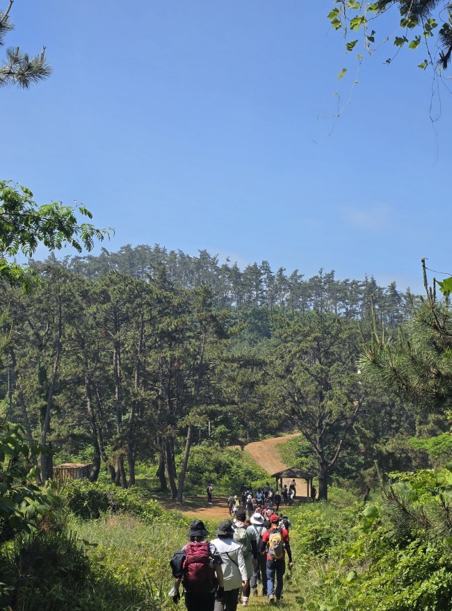 &ldquo;꾸지나무골해변에서 학암포까지&rdquo;