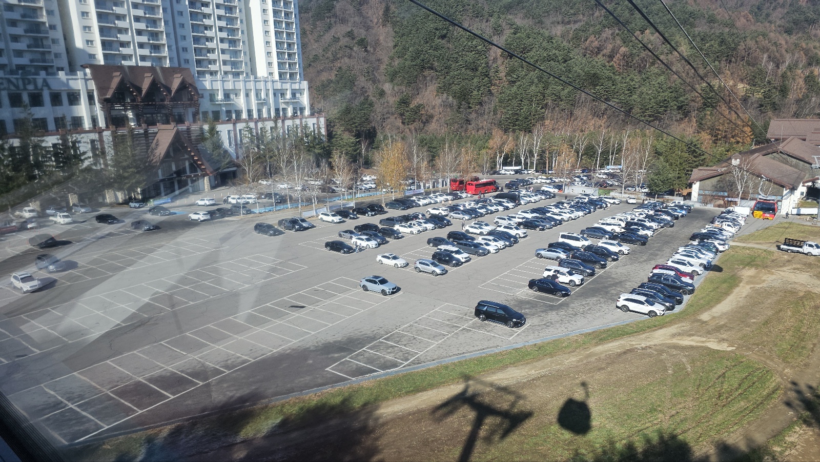 [발왕산 케이블카]